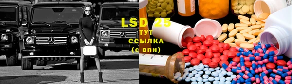 PSILOCYBIN Протвино