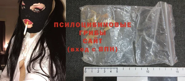 PSILOCYBIN Протвино