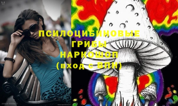 гашик Пролетарск